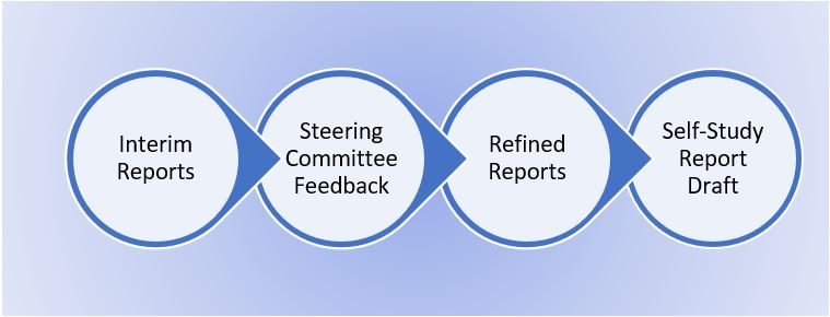 Figure 2. Working Group Reports: A Suggested Iterative Process